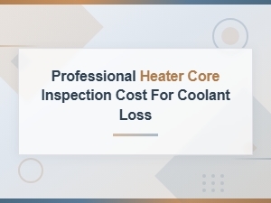 Professional Heater Core Inspection Cost for Coolant Loss